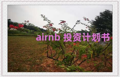 airnb 投资计划书